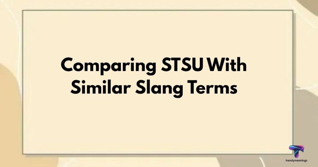 Comparing-STSU-With-Similar-Slang-Terms